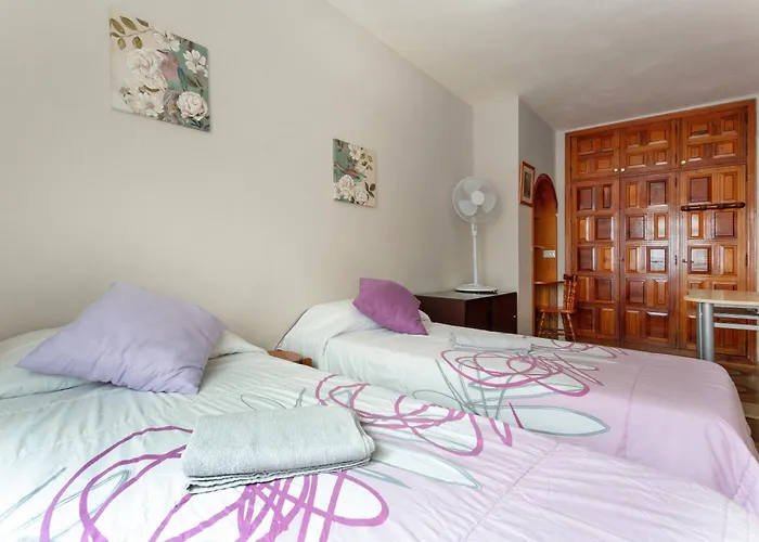 Un Guino Al Mar Puerto de la Cruz (Tenerife)